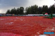 Sceneria na chwilę przed Wielką Bitwą Pomidorową