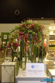 Kompozycja_Tomasz-Max-Kuczynski_Flower-Expo-Poland-2017