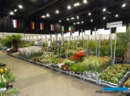 Greenery_Zielen-to-Zycie-2017