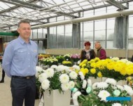 Tomasz Opalka przedstawial biala odmiane 'Magnum__Chryzantemowe Dni Otwarte firmy Cichon_Wielun-2017