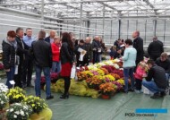 Chryzantemowe_Dni-Otwarte_firmy_Cichon_2017_Wielun