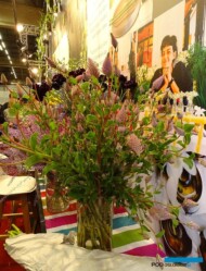 Ptilotus_Royal-FloraHolland_Trade-Fair-Aalsmeer_2017