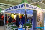 W ofercie targowej nie zabrakło rozsad warzyw z Grupy Mularski