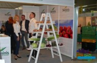 Stoisko firmy Monsanto - Seminis i De Ruiter na targach TSW 2018, fot. Amelia Wydra