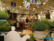 Ziola_ Vigo Gerolamo Srl z Albengi_IPM-Esse-2018