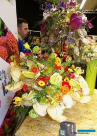 Kompozycja_Dmitry Turcan_Azerbejdzan_IPM-2018