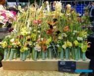 Kompozycja, którą wykonał Ivan Bergh_IPM-2018_