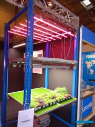 LED_Valoya_IPM-Essen-2018