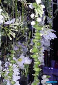 Kompozycja_Monika-Kudlacz_Specil-Days_Gardenia-2018_AC_