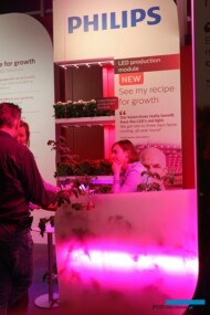 oświetlenie, LED, Philips