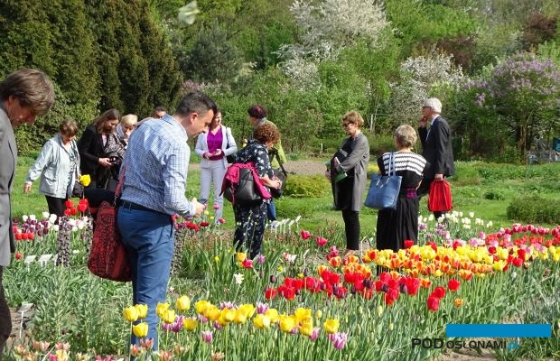 Podczas konferencji "Ozdobne rośliny cebulowe - produkcja i zstosowanie", zorganizowanej w SGGW można było zwiedzić kolekcję bylin Katedry Roślin Ozdobnych tej uczelni