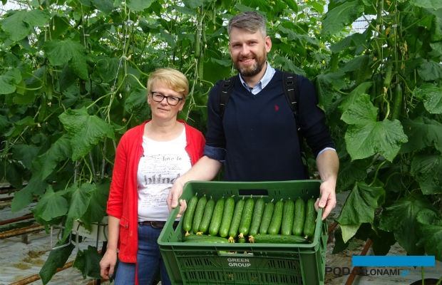 . Ewa Kaczak, kierownik produkcji w gospodarstwie w Leonowie i Marcin Piechota z firmy Monsanto prezentują owoce ogórka odmiany Quintus F1