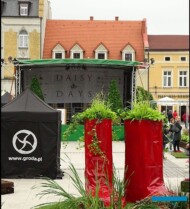 Pszczyna_Daisy-Days-2018