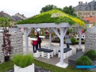 Ogrody Daisy_Pszczyna_Daisy-Days-2018_Grupa Kapias