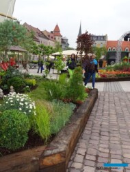 Ogrody Daisy_Pszczyna_Daisy-Days-2018_Kubiczek