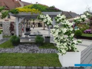 Grupa Kapias_Cornus-Venus_Daisy Days 2018_Pszczyna