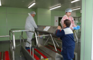 Do szklarni w firmie Agrokultura wchodzi się przez bramki dezynfekcyjne