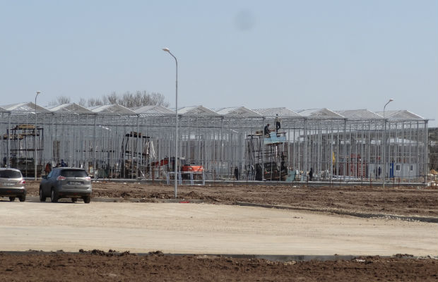 W rosyjskiej firmie Agrokultura w miejscowości Kaszira trwa budowa kolejnych szklarni