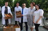 Załoga zarządzająca uprawą w szklarniach firmy Eko Kultura w Solnecznodolsku - od lewej Kucinskij Jurij Aleksandrovic - główny agronom, Cerkasov Ivan Vasilevic - główny agronom ds. ochrony roślin, Izosimov Aleksandr Jurievic - główny agronom-technolog, Borisova Galina Ivanovna - główny technolog oraz Gubaz Sabina Lavrant'evna - główny agrochemik
