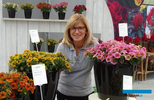 Gill Corless - prezes fundacji FlowerTrials - a zarazem menedżer ds. marketingu w przedsiębiorstwie Sakata (na jego tegorocznych pokazach- tu x Petchoa, odmiany z nowej grupy Beautical), fot. A. Cecot