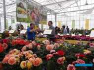 FlowerTrials 2018_Volmary