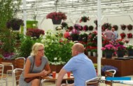 FlowerTrials® to miejsce prezentacji nowych odmian oraz okazja do spotkań ze specjalistami z kilkudziesiećiu firm_Syngenta FloriPro Services_2017