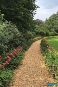 Jeden z zakątków Arboretum Wojsławice - z liliowcami