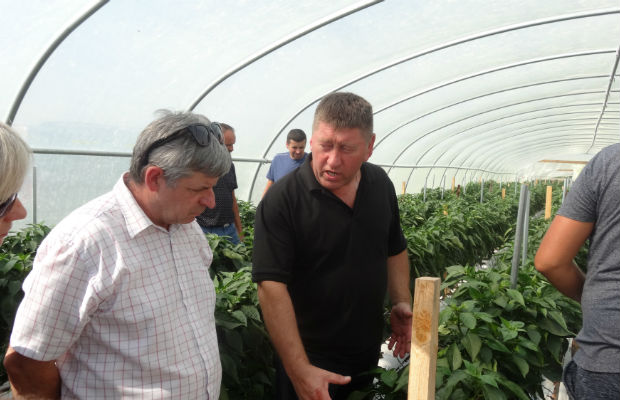 Informacji na temat uprawy udzielał właściciel plantacji - Tadeusz Zalewski