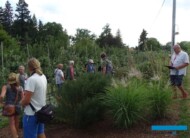 ISU Awards_testy w Arboretum Wojslawice