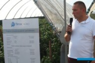 Program nawożenia ukierunkowany na uprawę papryki w tunelach foliowych przedstawił Krzysztof Dąbrowski reprezentujący firmę Timac Agro