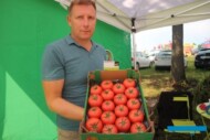 Piotr Pietrzak z firmy Enza Zaden przedstawia nowość odmianową wśród pomidorów malinowych znajdującą się jeszcze pod numerem E15A.41717