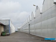 Firma Blabus posiada nowoczesne obiekty pod osłonami - szklarnie Venlo (z lewej) i tunele zblokowane