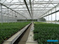 Vitroflora_nowy-tunel-Farmer
