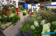 Tegoroczna wystawa "Zieleń to Życie" była, jak zwykle, miejscem inspiracji ogrodowych i prezentacji nowości roślinnych (tu: fragment stoiska Szkółki Szmit), fot. A. Cecot