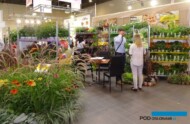 Stoisko firmy Volmary (Horti Flower Show na wystawie „Zieleń to Życie