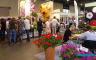 Horti Flower Show