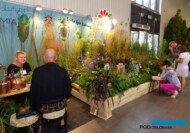 Ekspozycja Szkółki Bylin Dąbrowscy