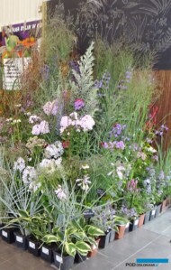 Fragment stoiska szkolki bylin "Ogrody o zielonych progach