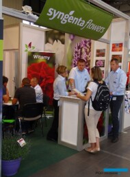 Stoisko firmy Syngenta