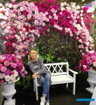 Róże Davida Austina - popularny "punkt fotograficzny na FlowersExpo 2018