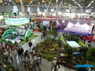 FlowersExpo 2018