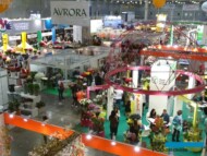 FlowersExpo 2018