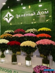 Zielionyj Dom - gospodarstwo z Federacji Rosyjskiej również produkujące róże pod osłonami