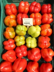 Nowa odmiana papryki z krakowskiej hodowli