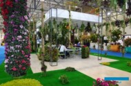 Migawka z targów roślin ozdobnych Flower Show Istanbul / Eurasia Plant Show 2018 w Stambule