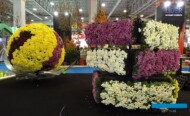 Przedsiębiorstwo Verticalle z miejscowości Antalya wykonuje wertykalne (i nie tylko) ogrody_Flower-Show_Istanbul 2018