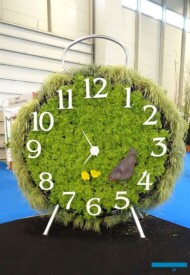 Jedna z wystawowych kompozycji firmy Verticalle_Flower-Show_Istanbul 2018