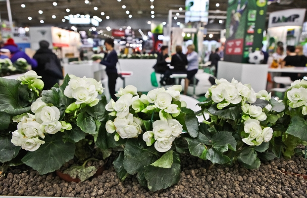 Międzynarodowe Targi Ogrodnictwa i Architektury Krajobrazu GARDENIA