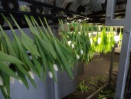 robot z firmy Bercomex…