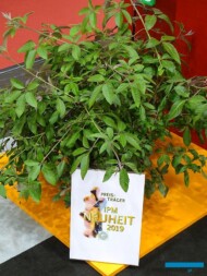 Vitex-'Flip Side'_IPM Esen 2019